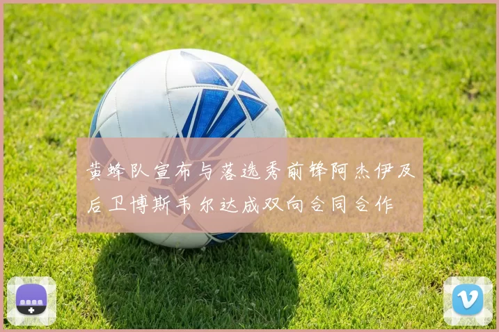 黄蜂队宣布与落选秀前锋阿杰伊及后卫博斯韦尔达成双向合同合作
